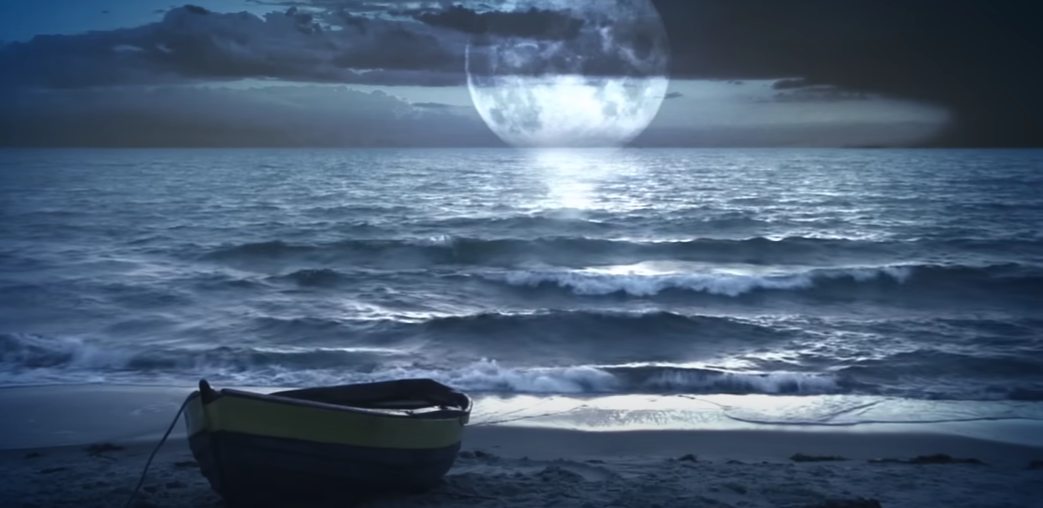 Ocean Sounds and Forest Nature Sound